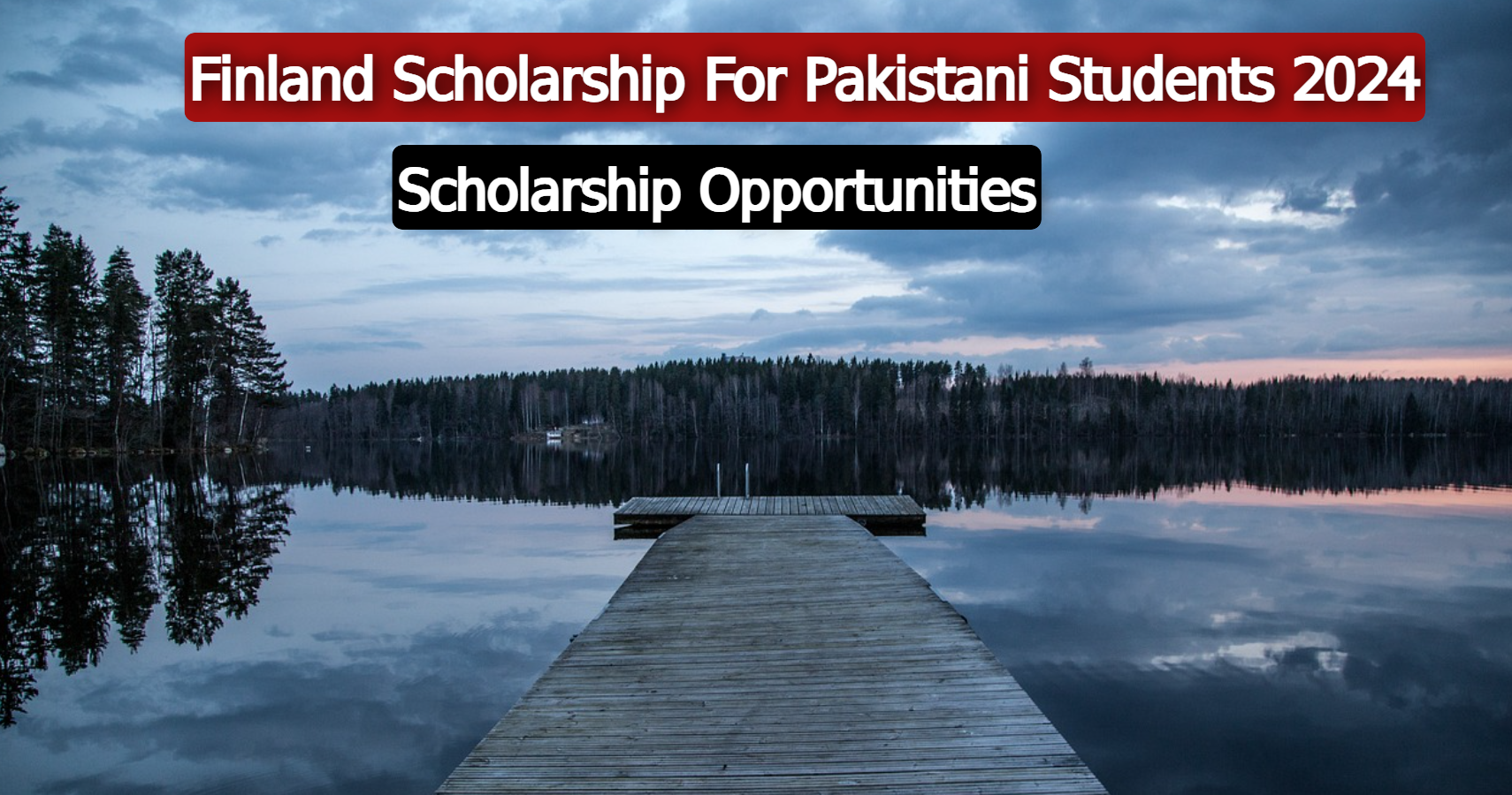 Finland Scholarship For Pakistani Students 2024